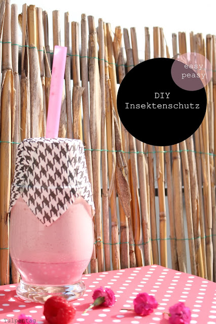 balkon insektenschutz diy deko