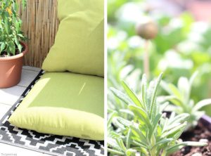 Balkon-Chili-Chilipflanze-Sommer-KrC3A4uter-Kissen