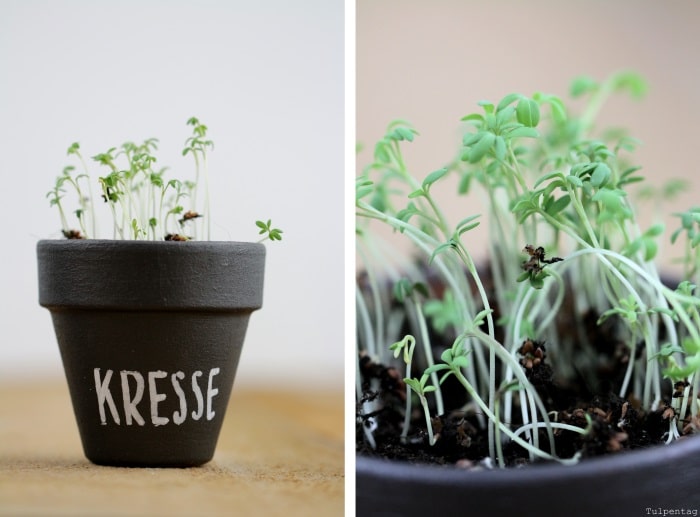 DIY Kräutertöpfe Geschenk Tafellack Tafelfarbe selbermachen