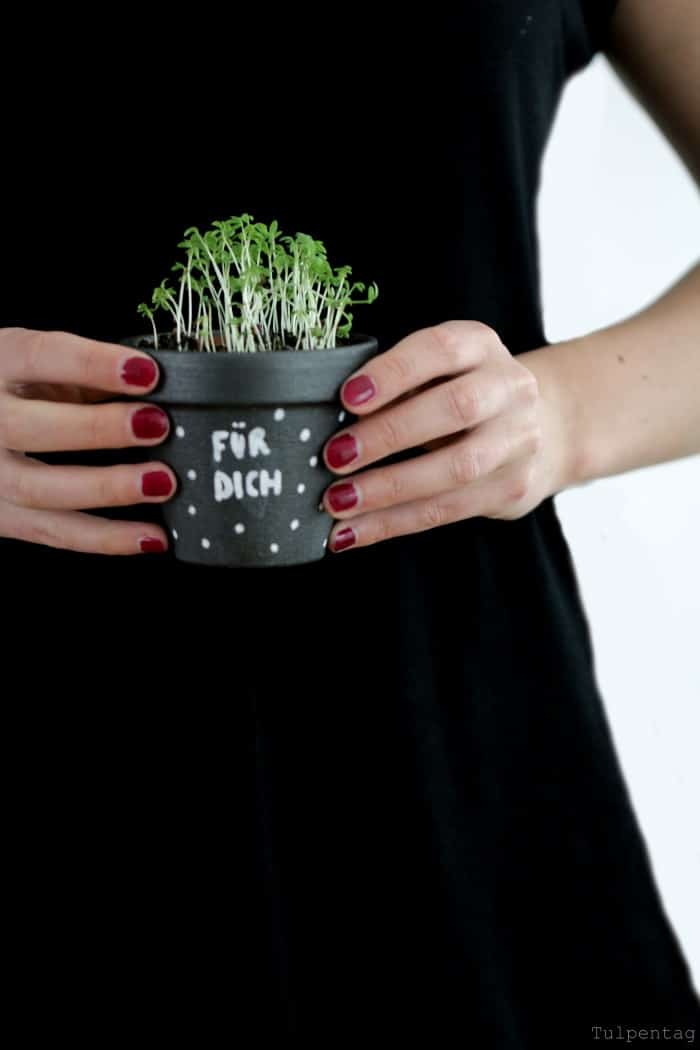 DIY Kräutertöpfe Geschenk Tafellack Tafelfarbe selbermachen
