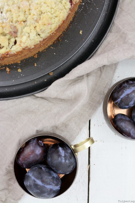 pflaumen-quark-streusel-kuchen2 streuselkuchen