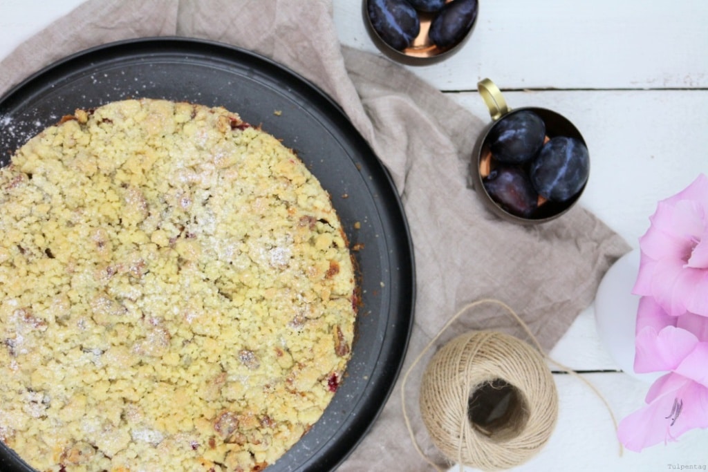 pflaumen-quark-streusel-kuchen4 Streuselkuchen
