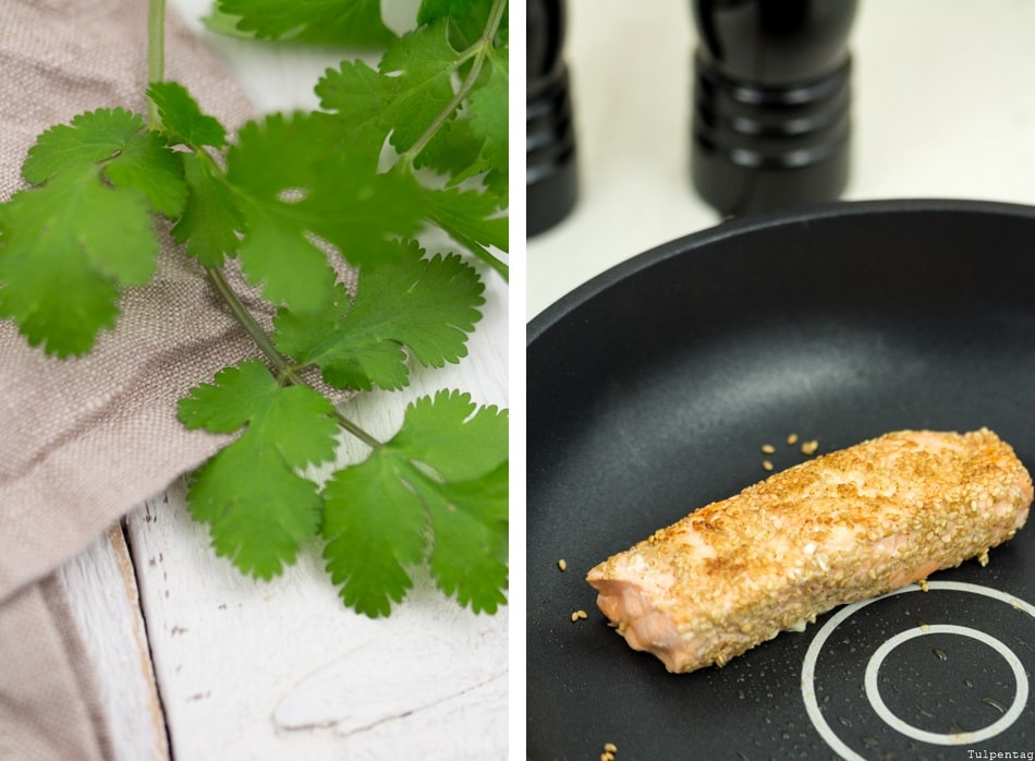 Lachs Sesam Low Carb Gemüse Rezept