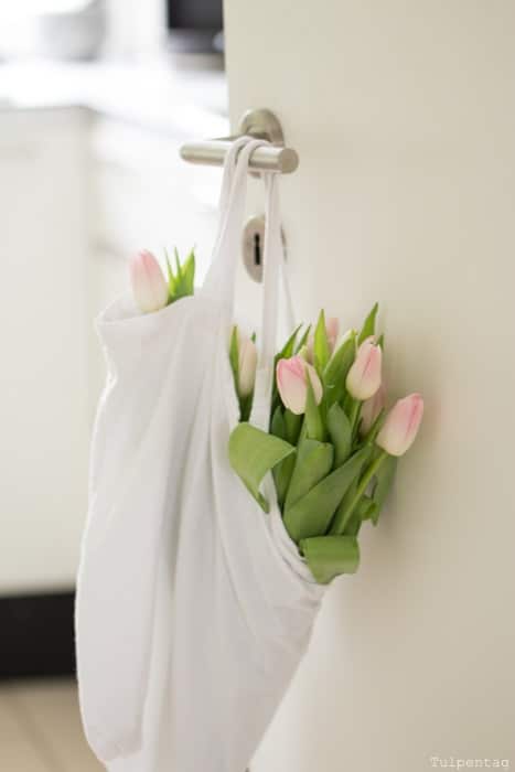 Gewinne Verlosung Tulpentag Blog Tulpen Tür