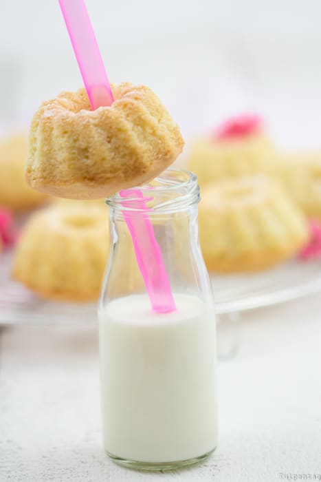 Mini-Gugl Gugelhupf Rezept Kokosmilch Kokos einfach