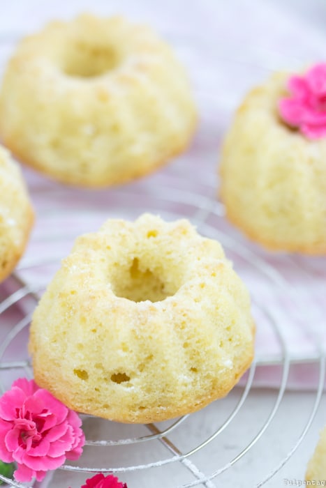 Mini-Gugl Gugelhupf Rezept Kokosmilch Kokos einfach