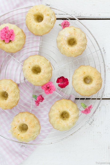 Mini-Gugl Gugelhupf Rezept Kokosmilch Kokos einfach