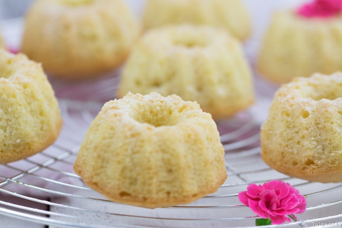 Mini-Gugl Gugelhupf Rezept Kokosmilch Kokos einfach
