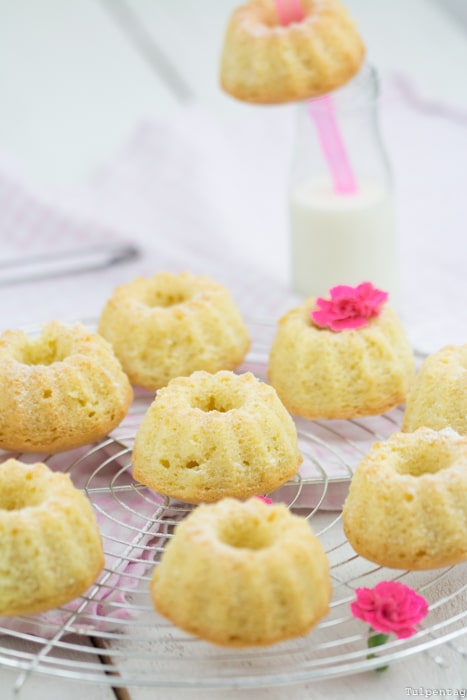 Mini-Gugl Gugelhupf Rezept Kokosmilch Kokos einfach