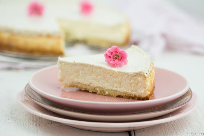 Käsekuchen einfach gelingsicher Cheesecake Rezept