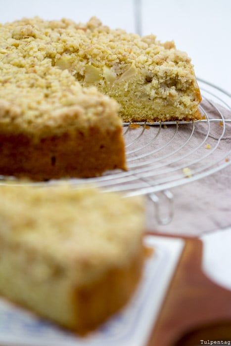 Apfelkuchen Streusel leicht einfach Weihnachten Rezept Springform