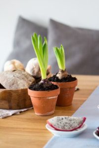 Tipps-Esszimmer-OTTO-Shopping-Festival-7