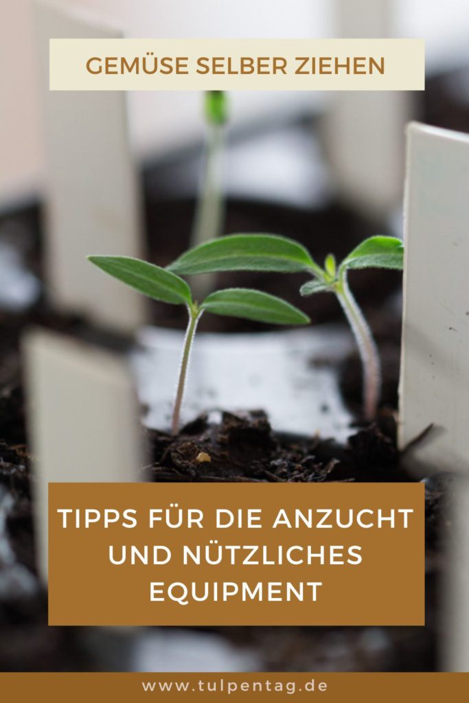 Gemüse selbst anbauen – Anzucht und Equipment