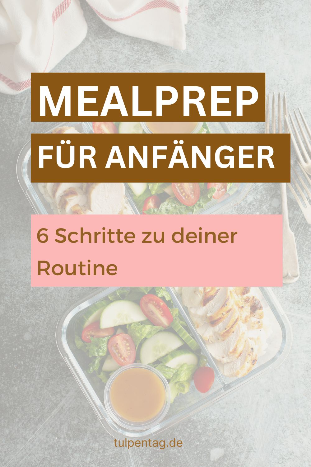 Mealprep als Anfänger lernen. Einfache Rezepte und Wochenplan. Anleitung mit 6 Schritten zur einfachen Routine