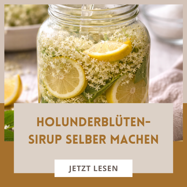 Holunderblütensirup selber machen. Ein Rezept mit wenigen Zutaten mit und ohne Zitronensäure
