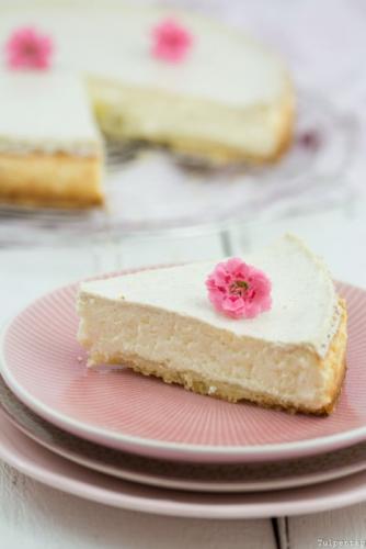 Der leckerste Käsekuchen der Welt
